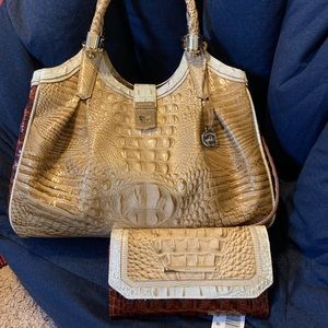 Beautiful Brahmin Celia